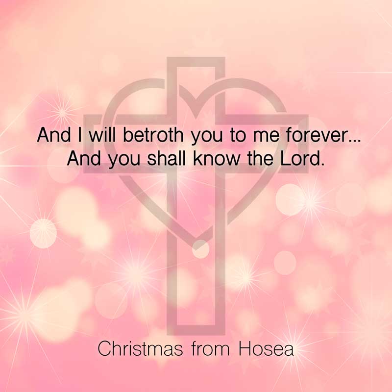 Hosea-Christmas
